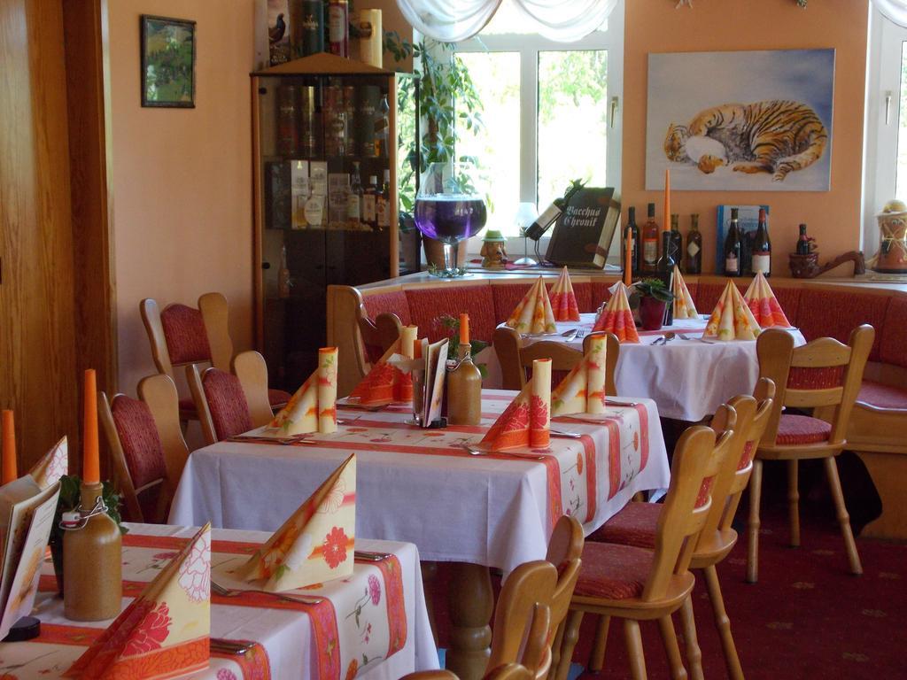 Landhotel Weisses Roess'L Adorf エクステリア 写真
